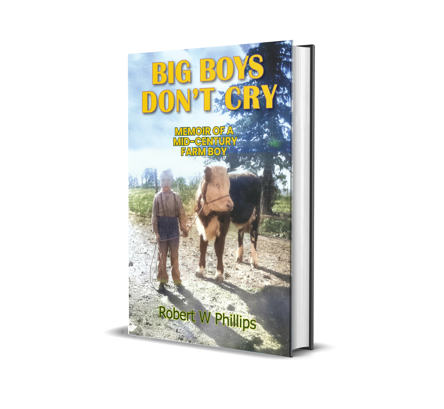 3DBookCover Big Boys Don't Cry